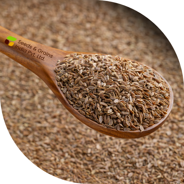 Dill seed
