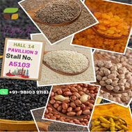 Seeds Grains