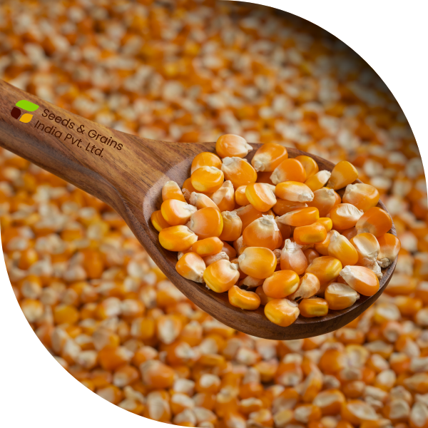 Grains