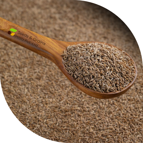 Cumin Seeds