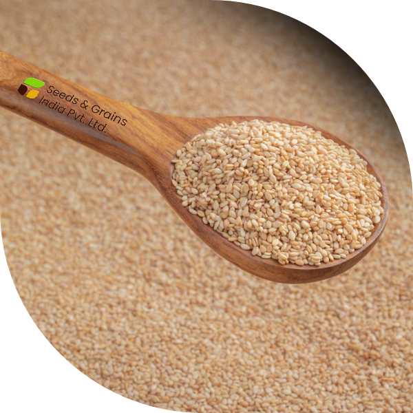 White Sesame Seeds