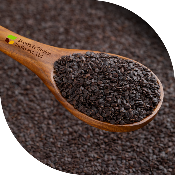 BASIL SEED