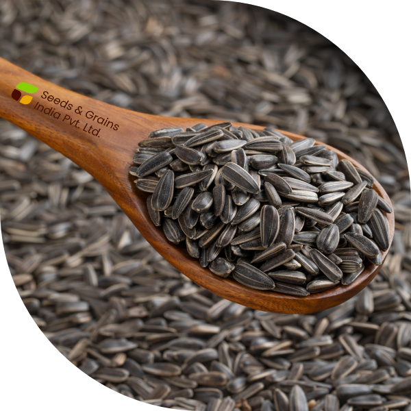 Sunflower seeds & Kernels