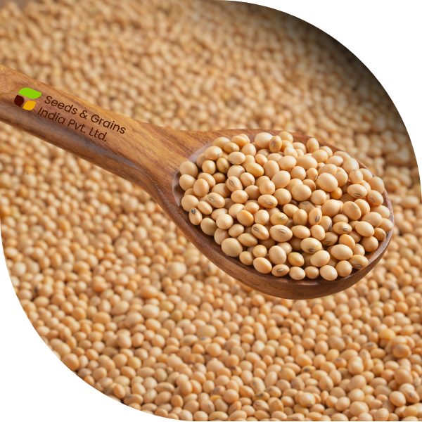 Soybean