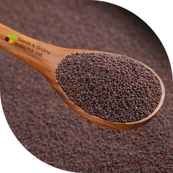 Brown Mustard Seeds