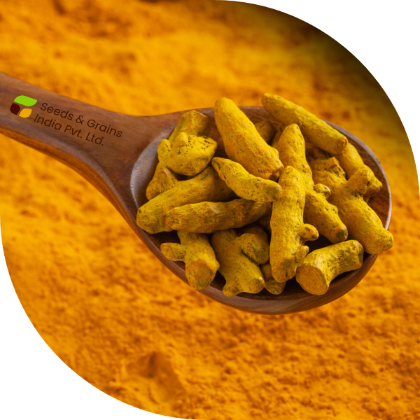 Turmeric