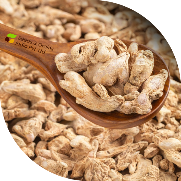 Dry Ginger