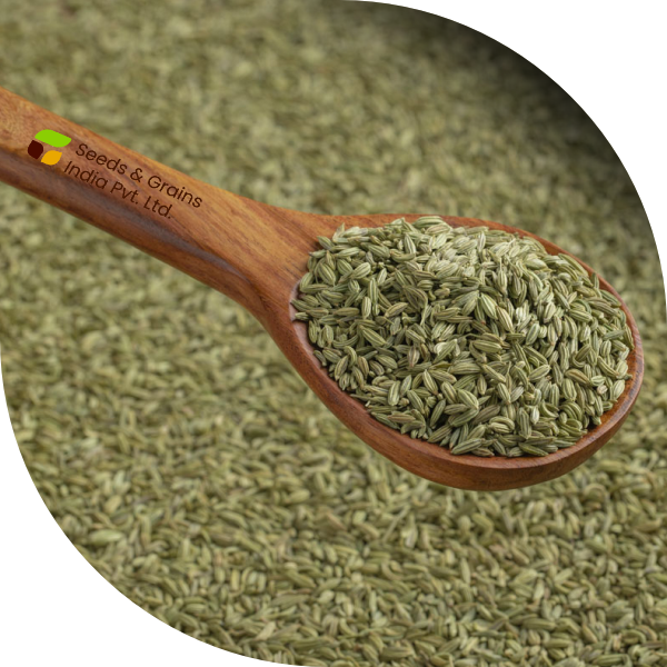 Fennel seed