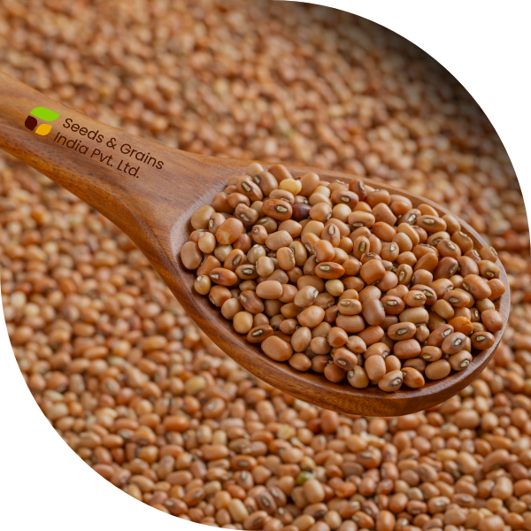 Cowpeas