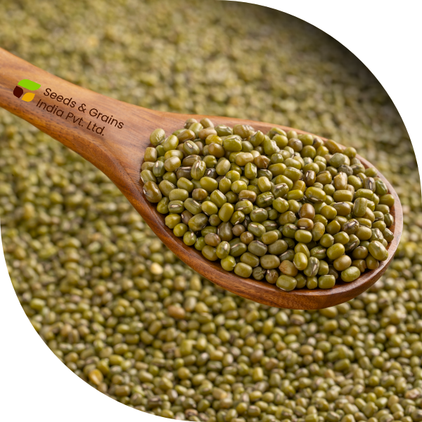 Green Mung Beans