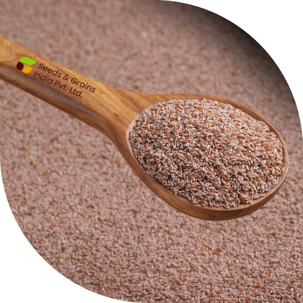 Psyllium Seed