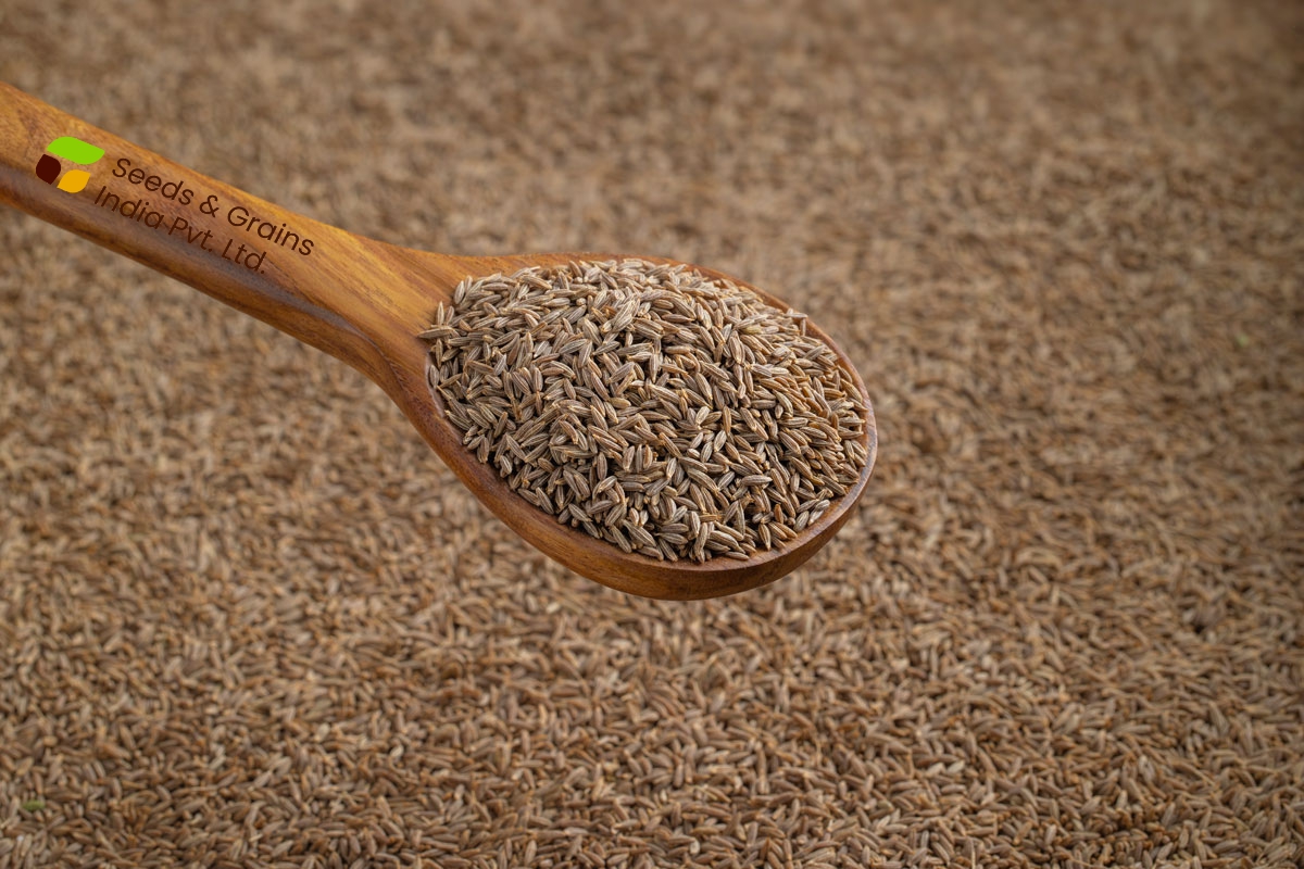 Cumin Seeds