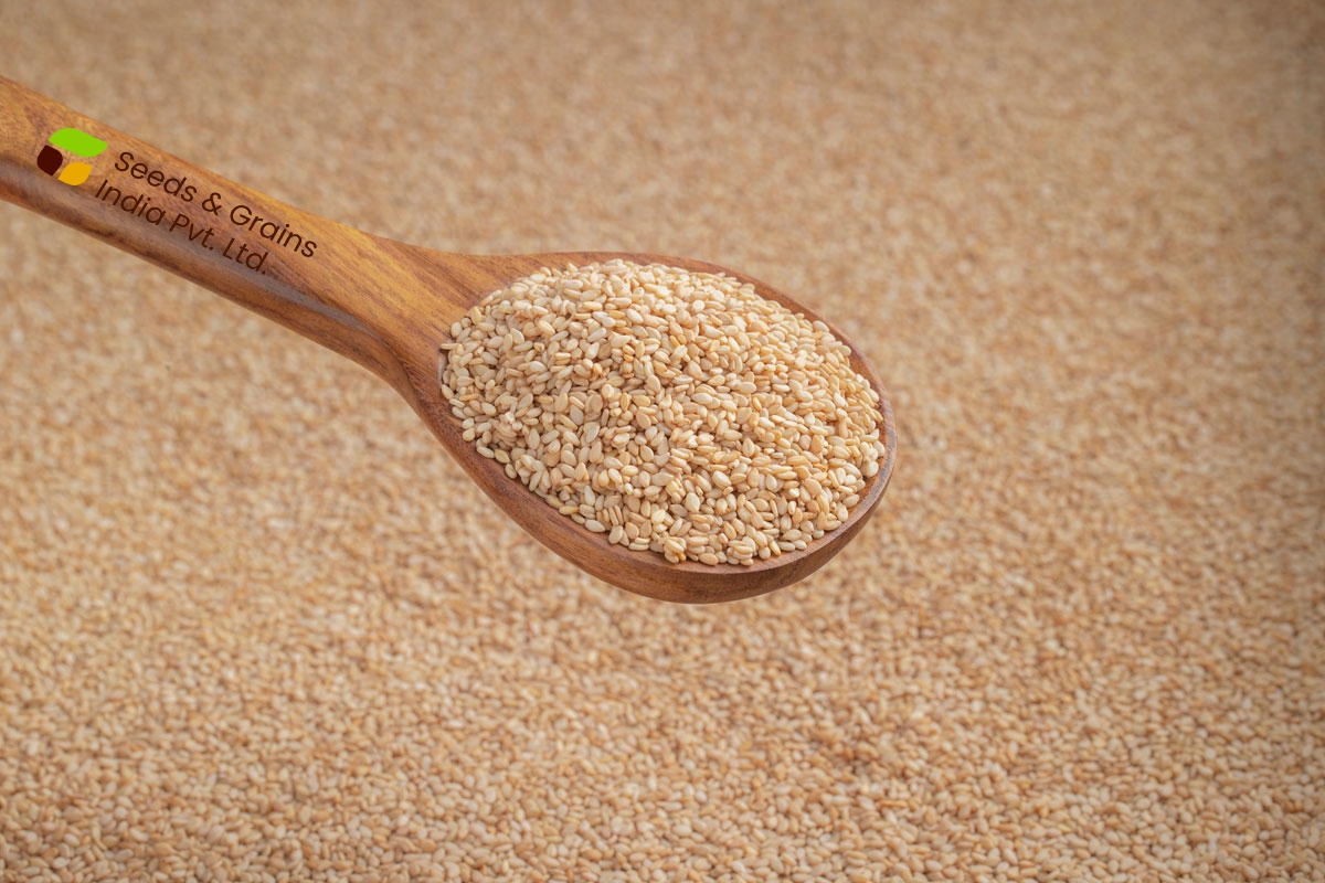 White Sesame Seeds