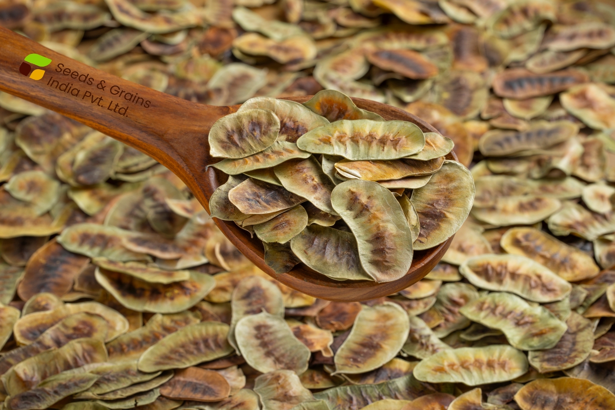 SENNA LEAVES & PODS