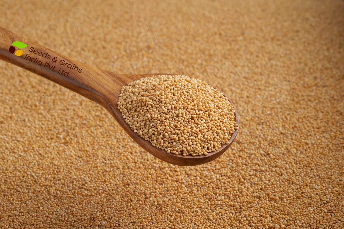 YELLOW MILLET