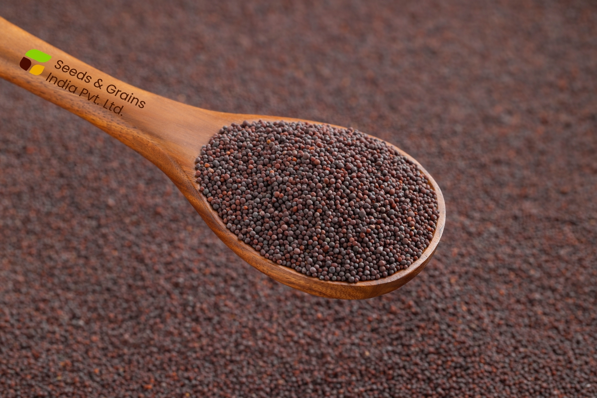 Brown Mustard Seeds