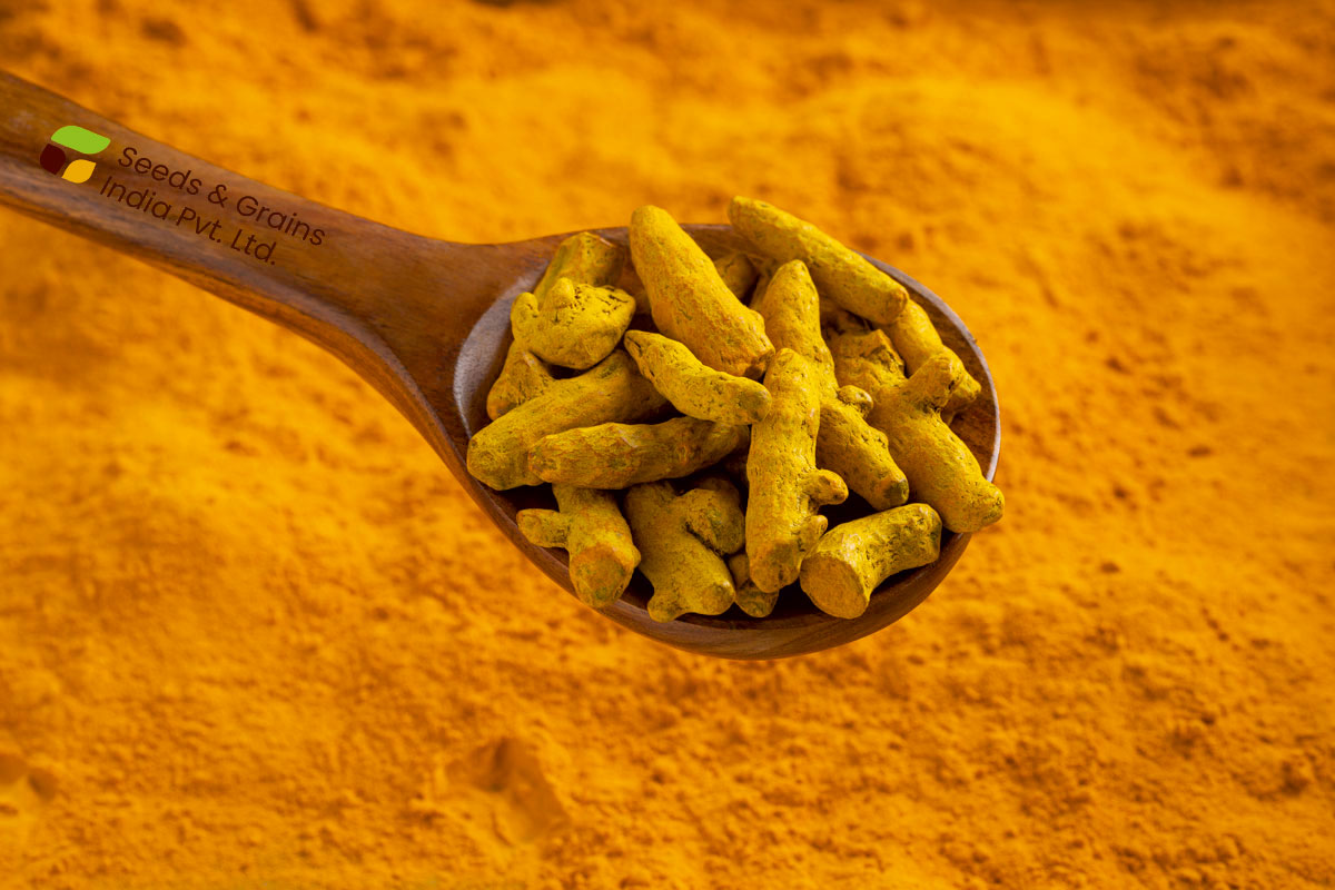 Turmeric