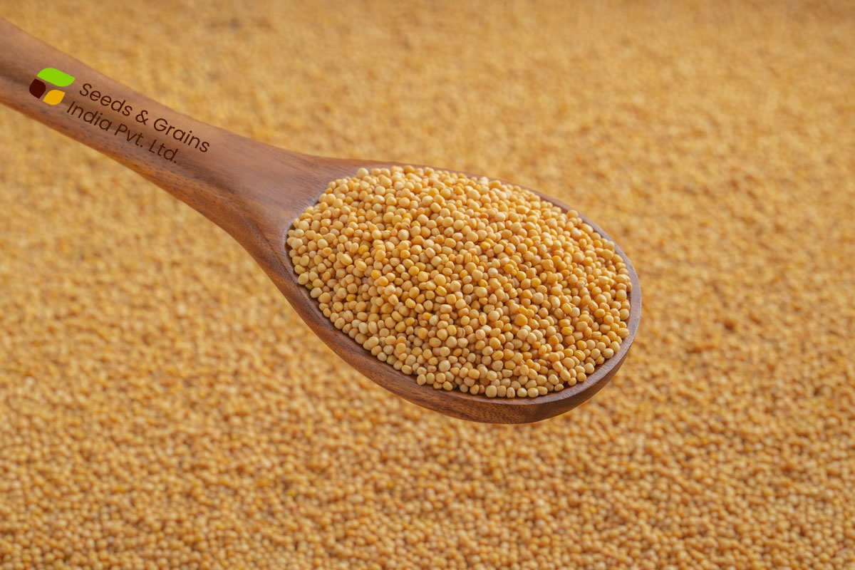 Yellow Mustard