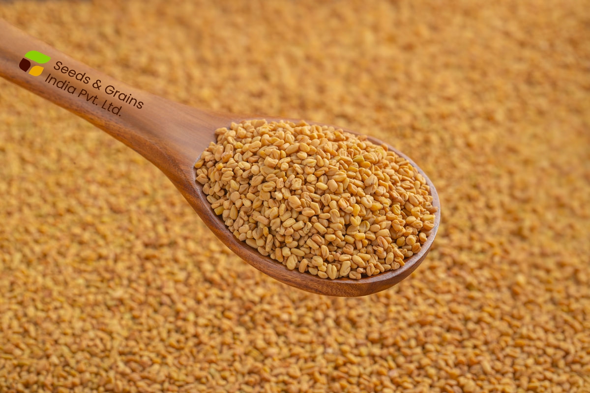 Fenugreek seed