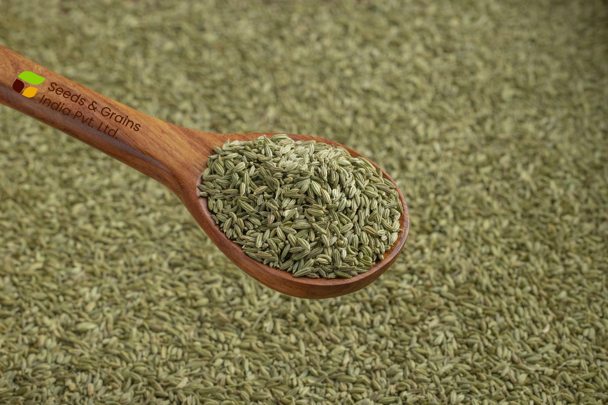 Fennel seed