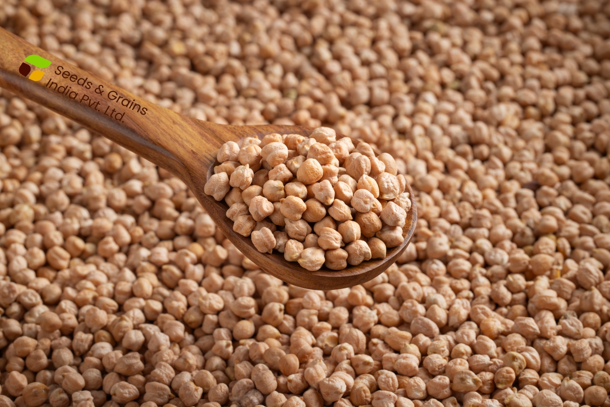 Kabuli Chickpeas