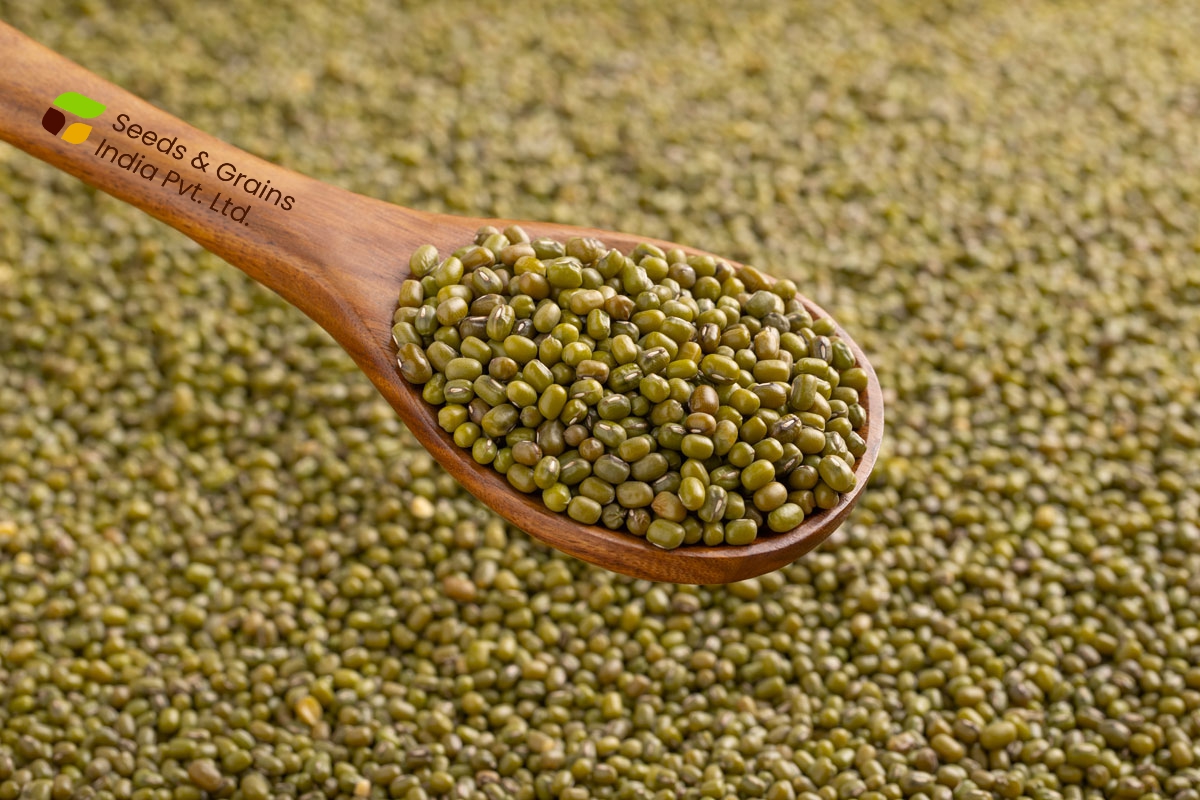 Green Mung Beans