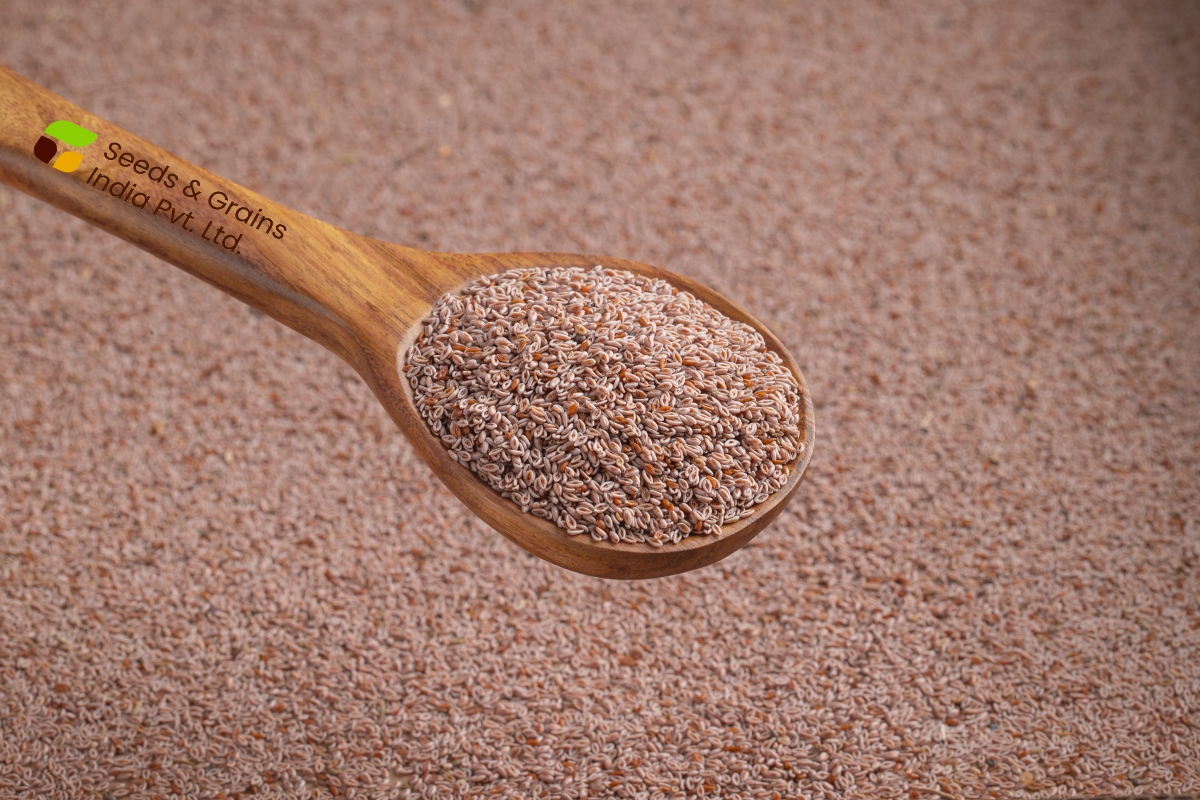 Psyllium Seed