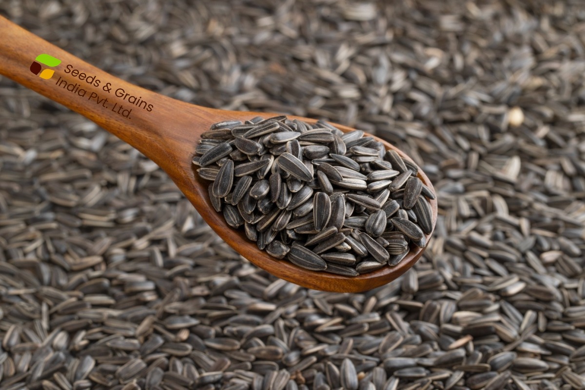 Sunflower seeds & Kernels